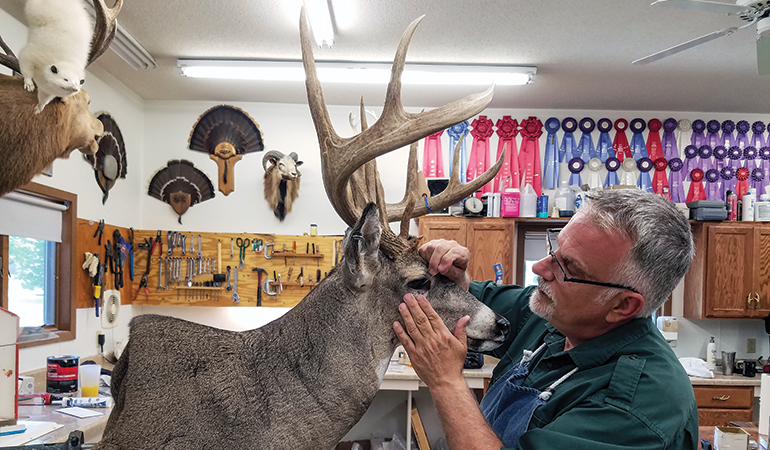 Trophy Taxidermy: Tips for Choosing and Displaying Hunting Trophies