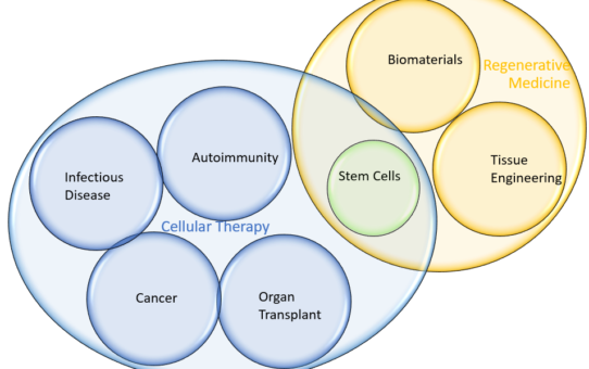 What Cellular Medicine Is and What Problems It Addresses